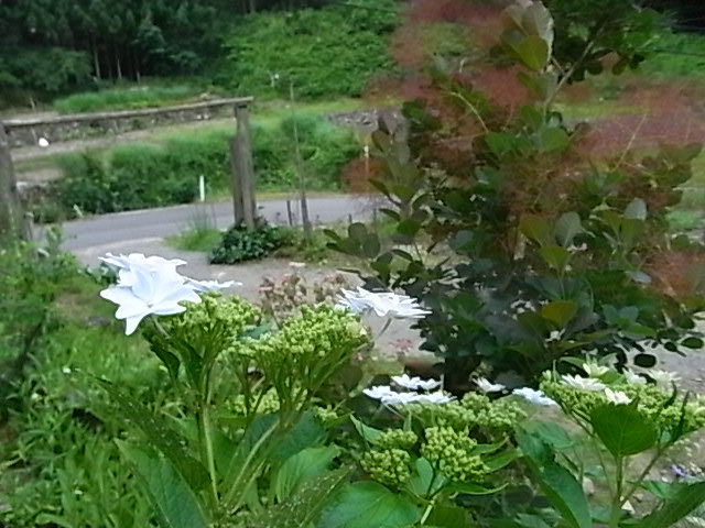 f0341616_6214697.jpg