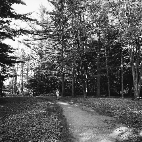 f0182924_23492824.jpg