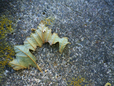 f0188324_0125977.jpg