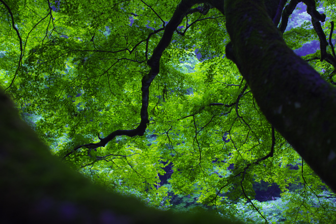 e0200926_23595114.jpg
