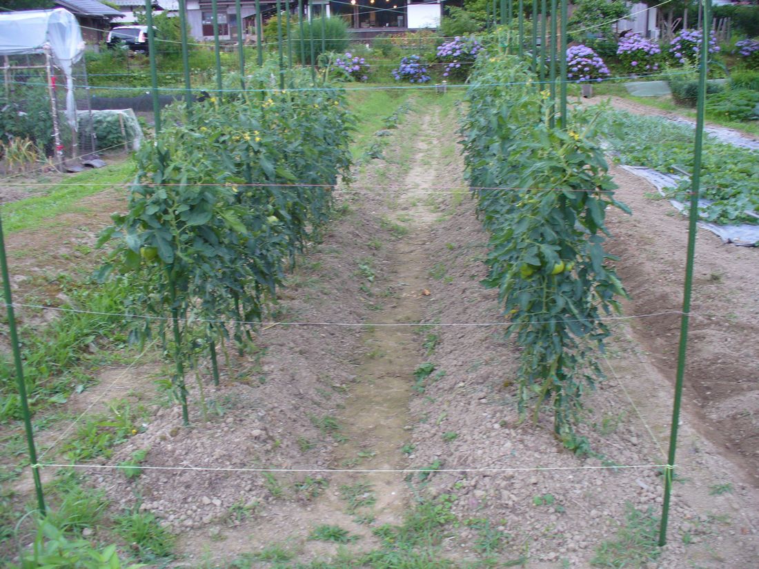 f0346527_2252047.jpg