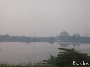 c0103830_15575039.jpg