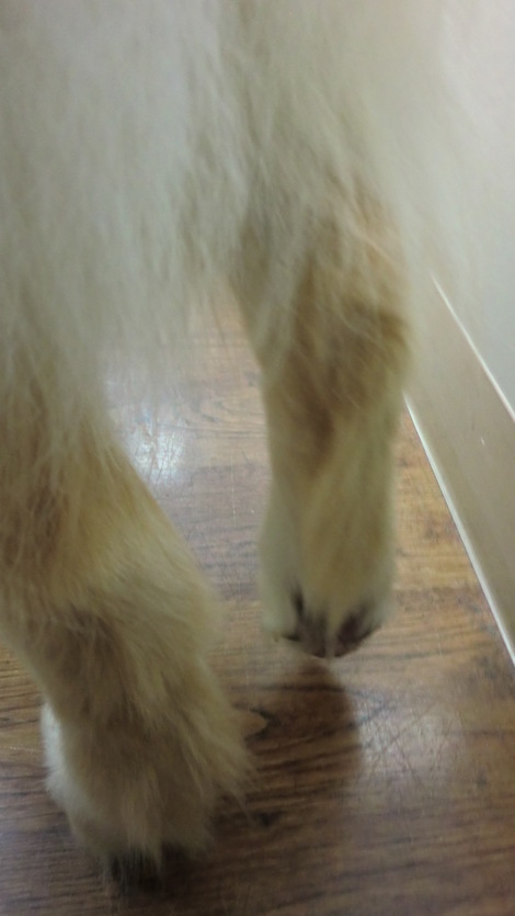 c0236632_7541869.jpg