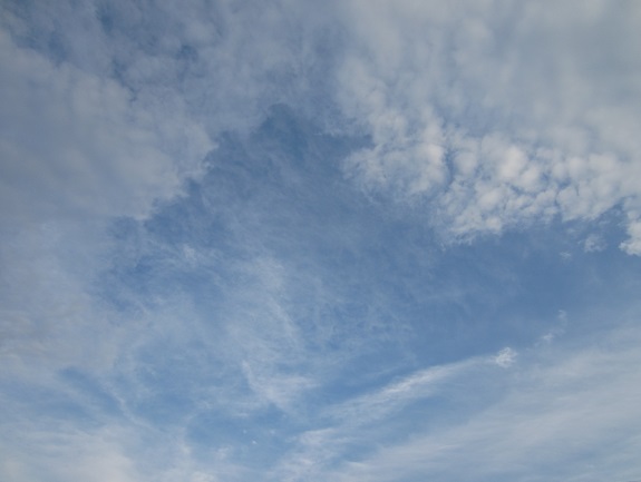 f0002833_1144294.jpg
