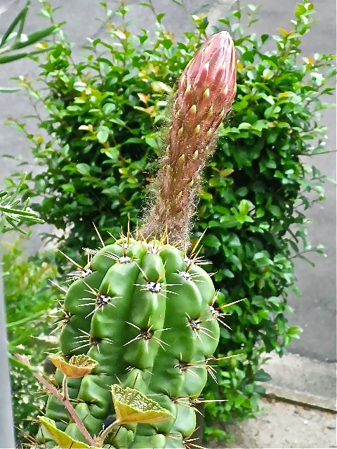 b0027736_0241456.jpg
