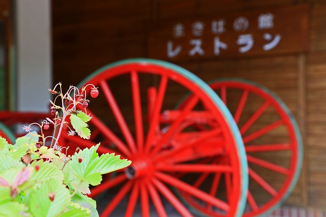 a0242438_19351096.jpg