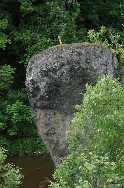 d0165741_1724613.jpg