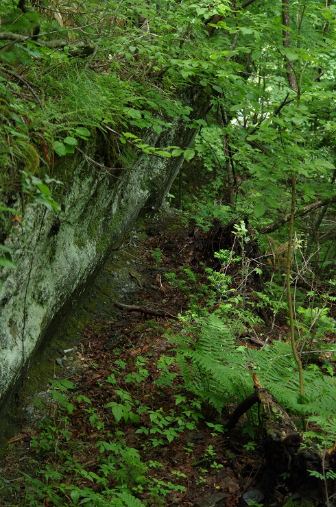 d0165741_176484.jpg