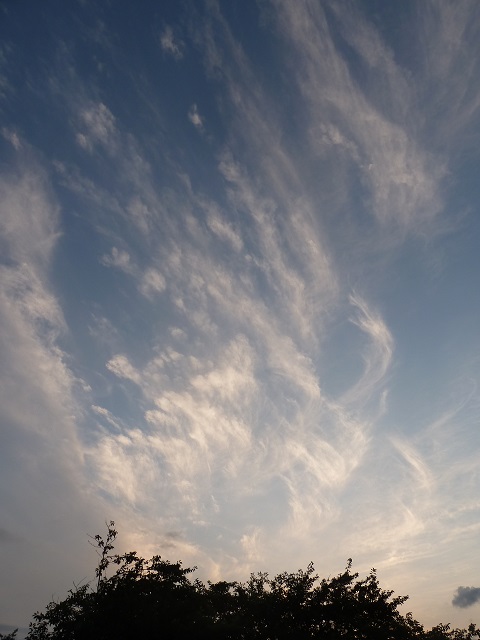 d0288144_00052956.jpg