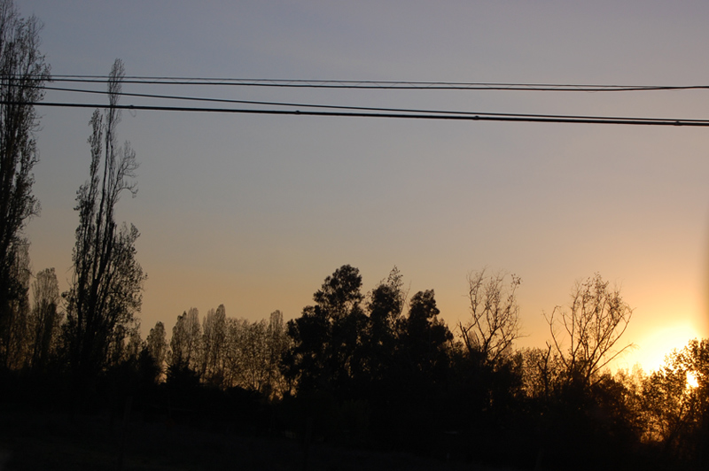 d0018646_22155518.jpg