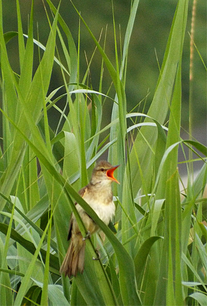 f0214649_4341079.jpg