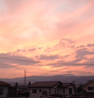 f0221360_1450516.jpg