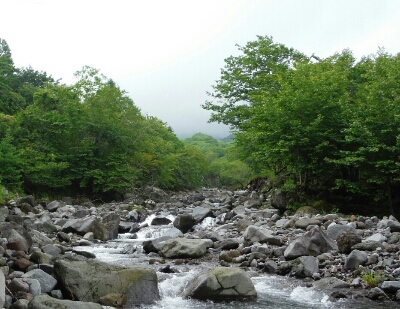 b0304662_1164217.jpg