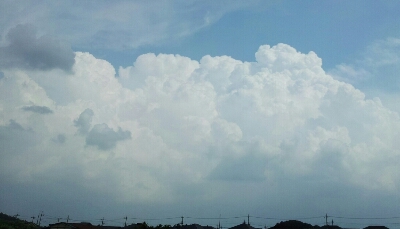 b0304662_118052.jpg