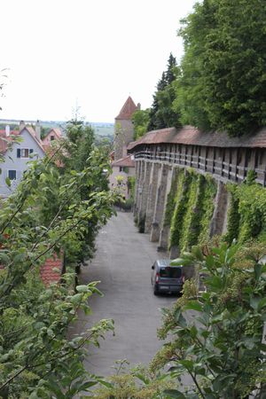 c0115779_16233969.jpg