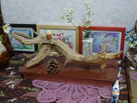 e0051580_9132483.jpg