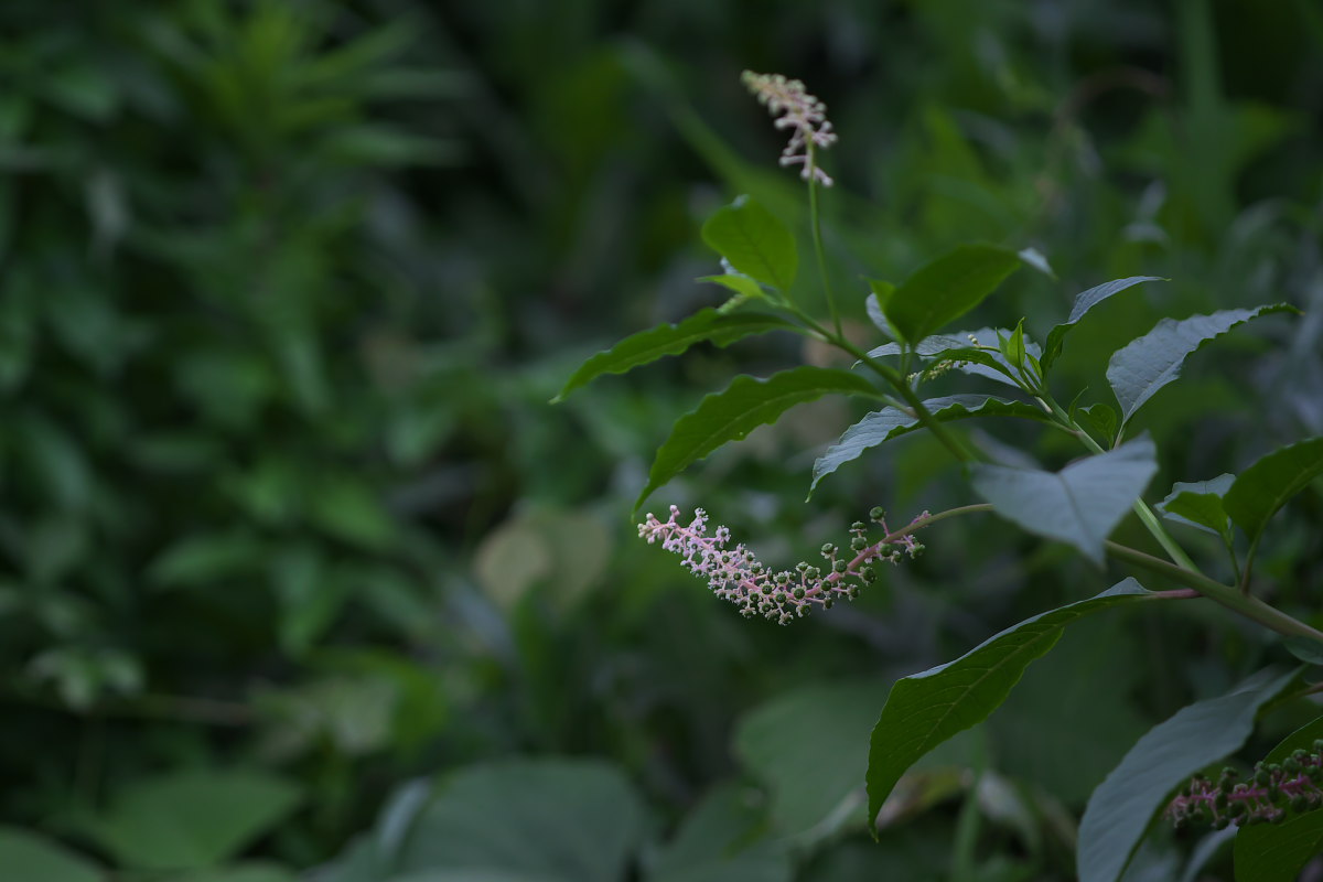 a0083081_1727521.jpg