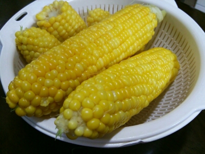 d0190794_20532121.jpg