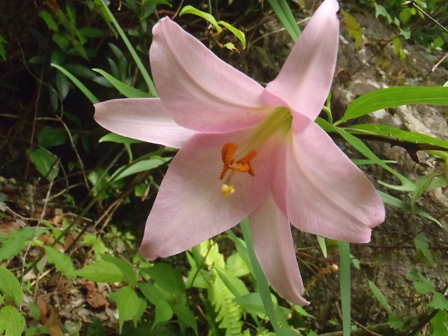 c0147398_20385779.jpg