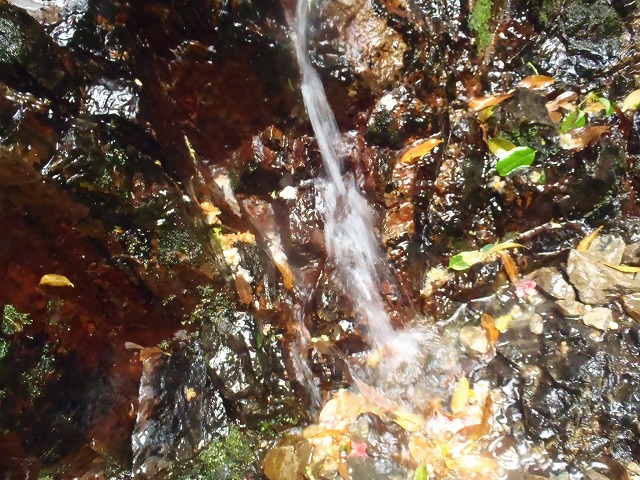 c0147398_20484149.jpg