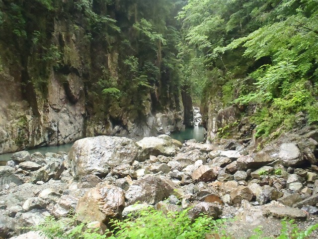 c0147398_20485259.jpg
