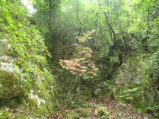 c0147398_20491249.jpg