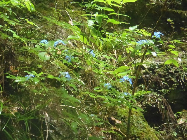 c0147398_20493772.jpg