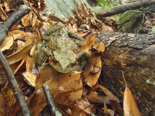 c0147398_20494730.jpg