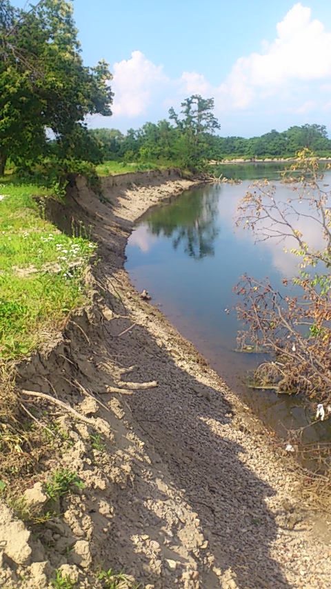e0317698_7444581.jpg