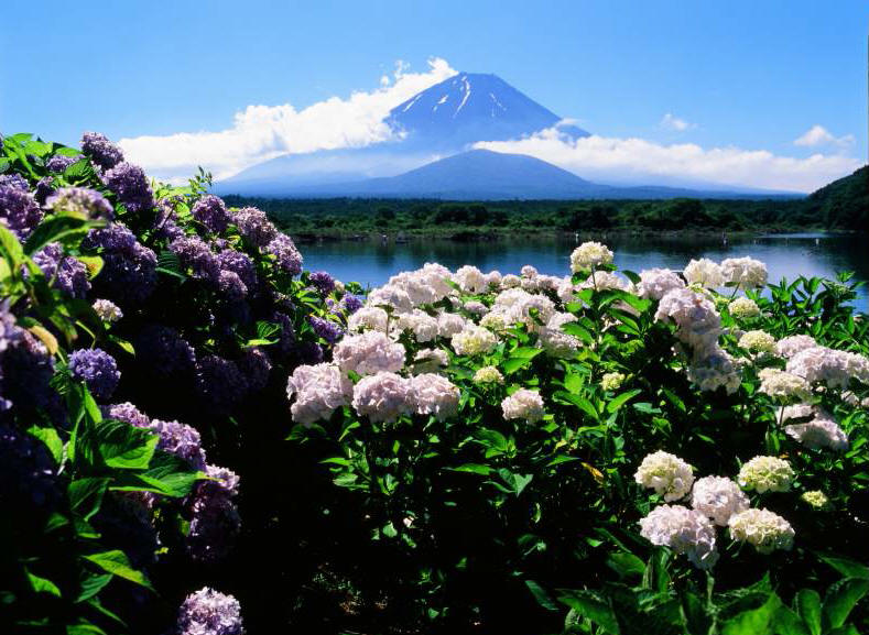 a0188405_1012975.jpg