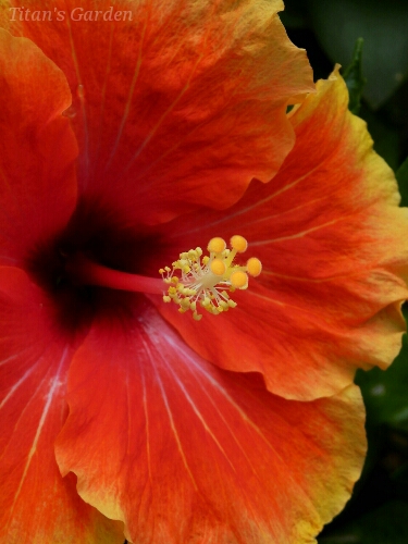 b0099813_127769.jpg