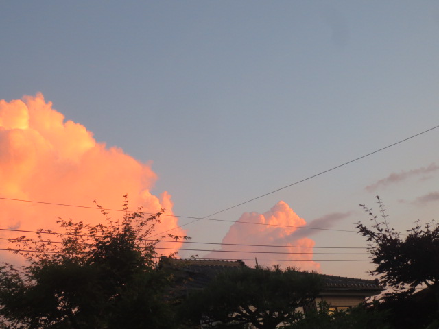 f0248616_0265187.jpg