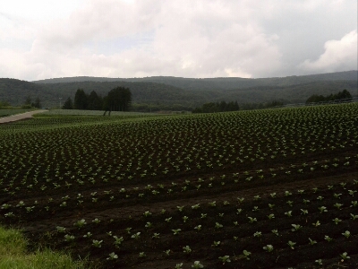 b0251624_19354743.jpg