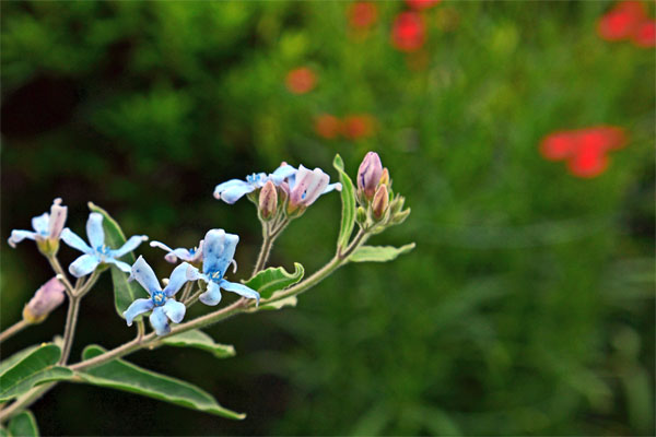 d0029829_20204739.jpg