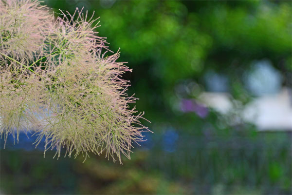 d0029829_202129100.jpg