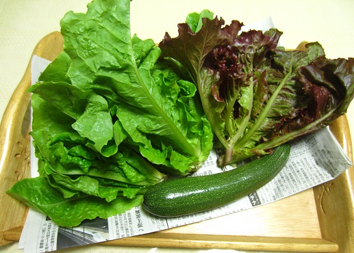 f0002833_132857.jpg