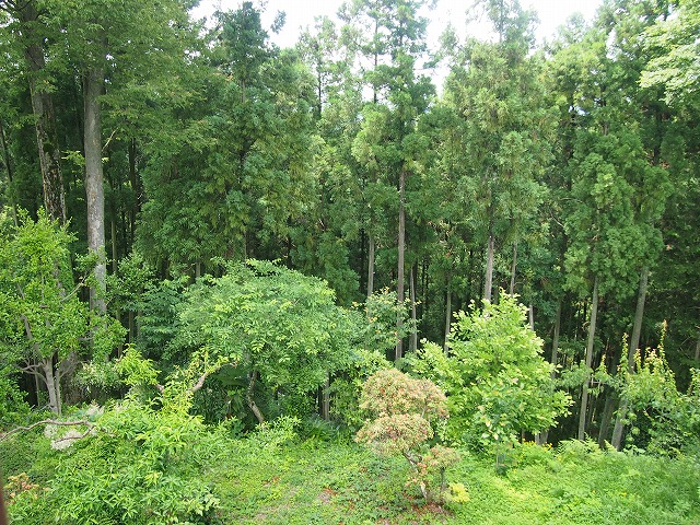 a0280635_111270.jpg