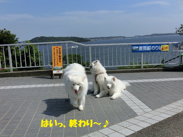 e0196135_2347627.jpg