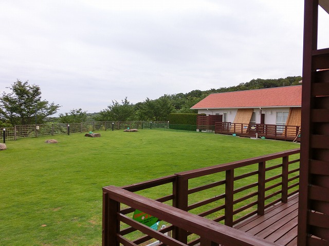 e0196135_23482450.jpg