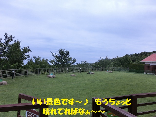 e0196135_23491093.jpg