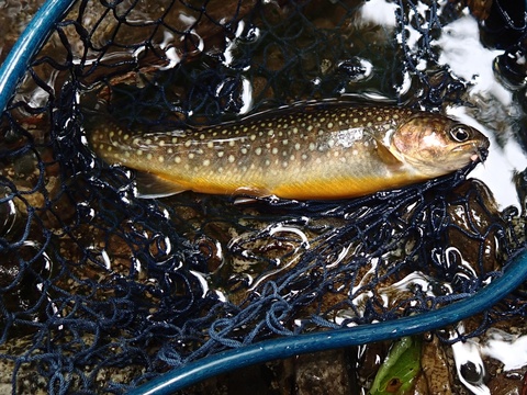 f0280739_22271642.jpg