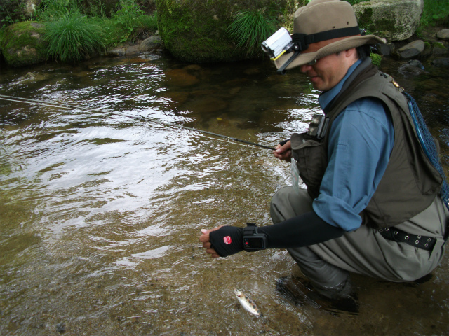 f0280739_22345086.jpg