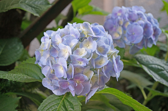 b0118743_9244729.jpg