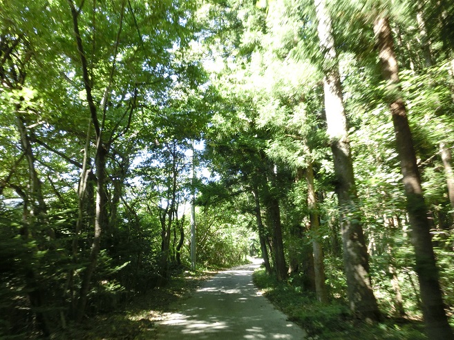 c0156345_14244485.jpg