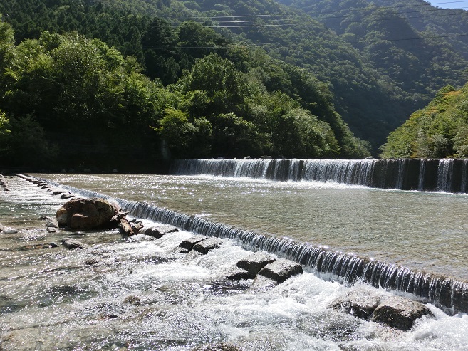 c0156345_14253318.jpg