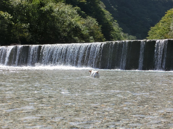 c0156345_1425867.jpg