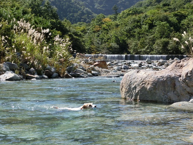 c0156345_14283749.jpg