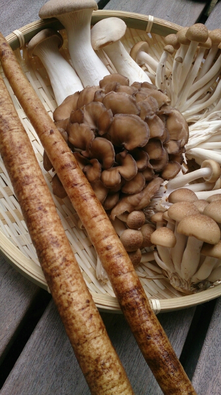 f0341250_1242865.jpg