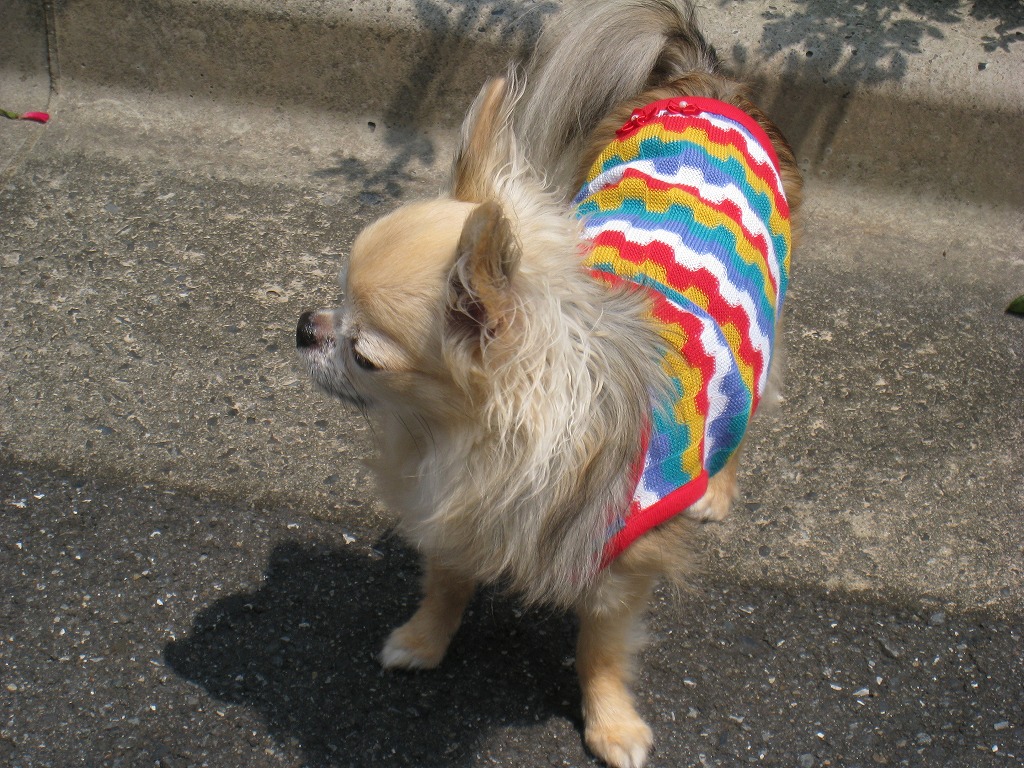 f0154751_21561771.jpg