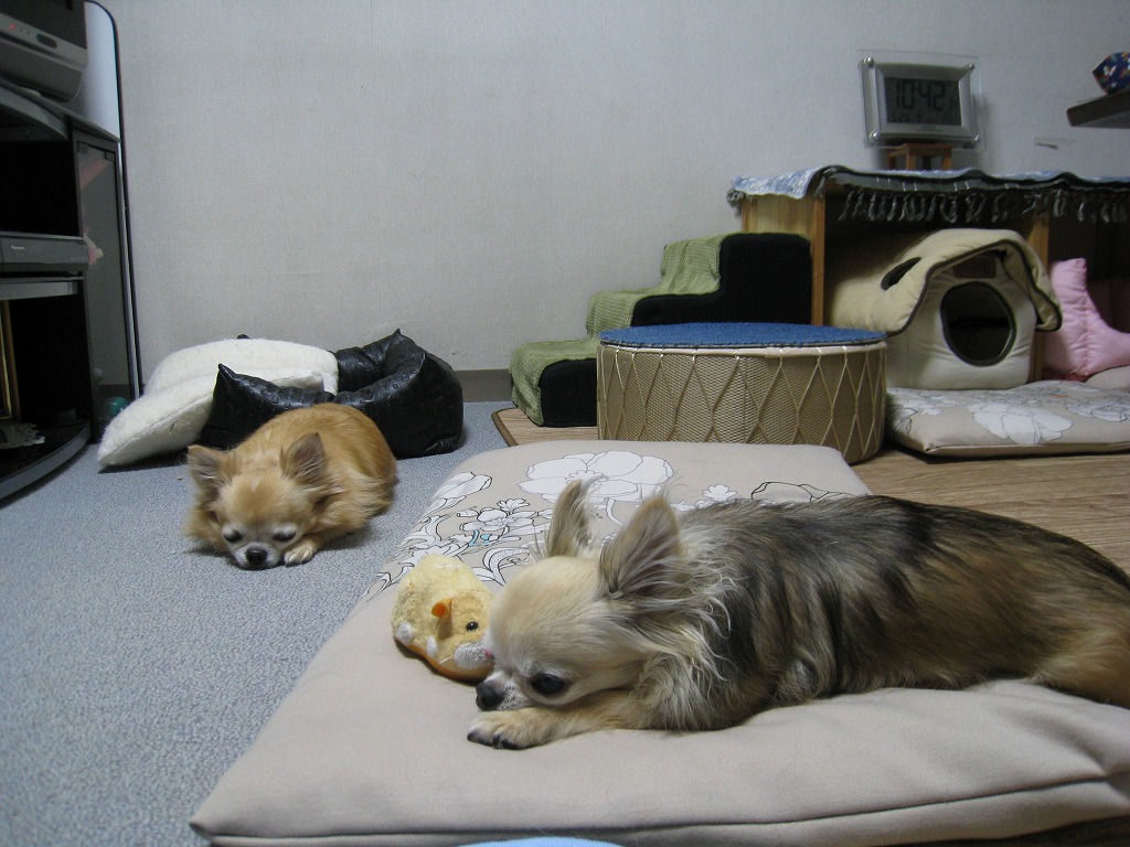 f0154751_2271432.jpg